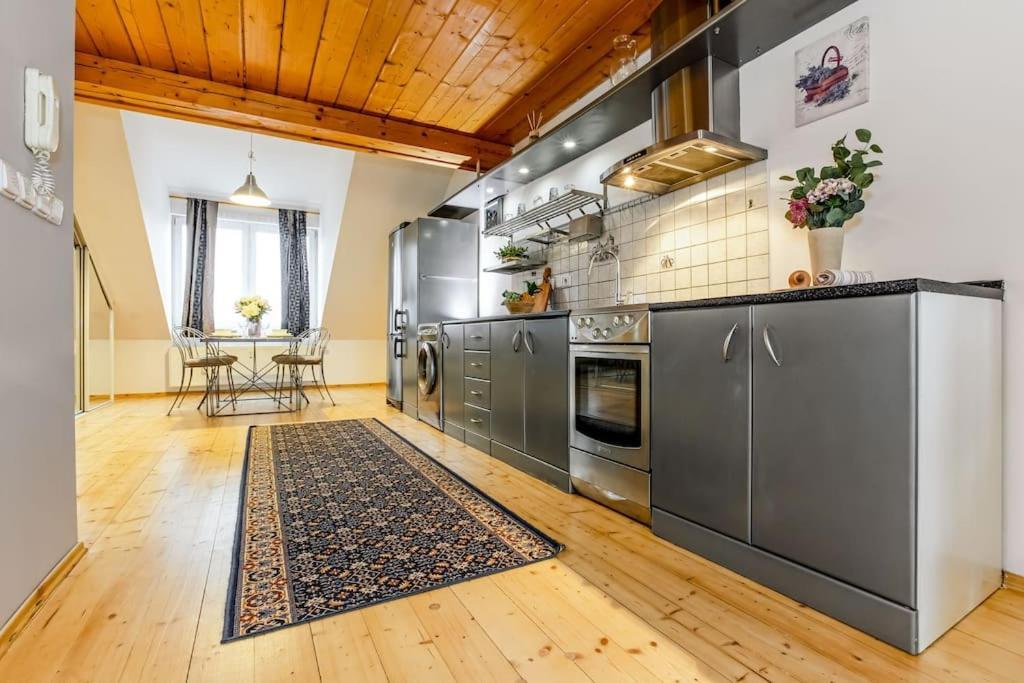 Utulny A Prostorny Podkrovni Byt S Krbovymi Kamny Ceske Budejovice Buitenkant foto
