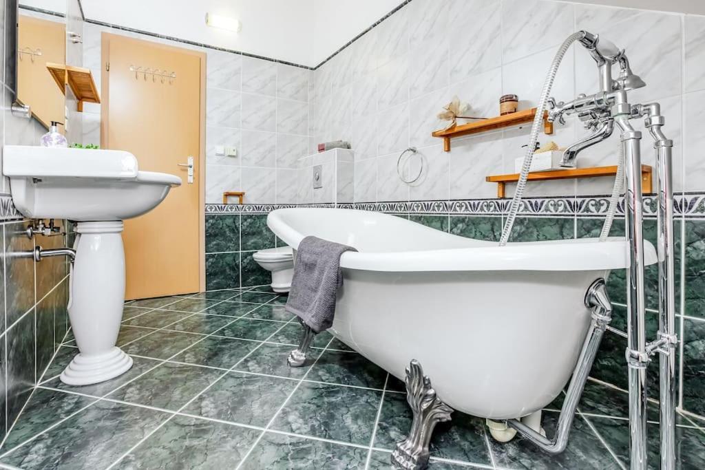 Utulny A Prostorny Podkrovni Byt S Krbovymi Kamny Ceske Budejovice Buitenkant foto